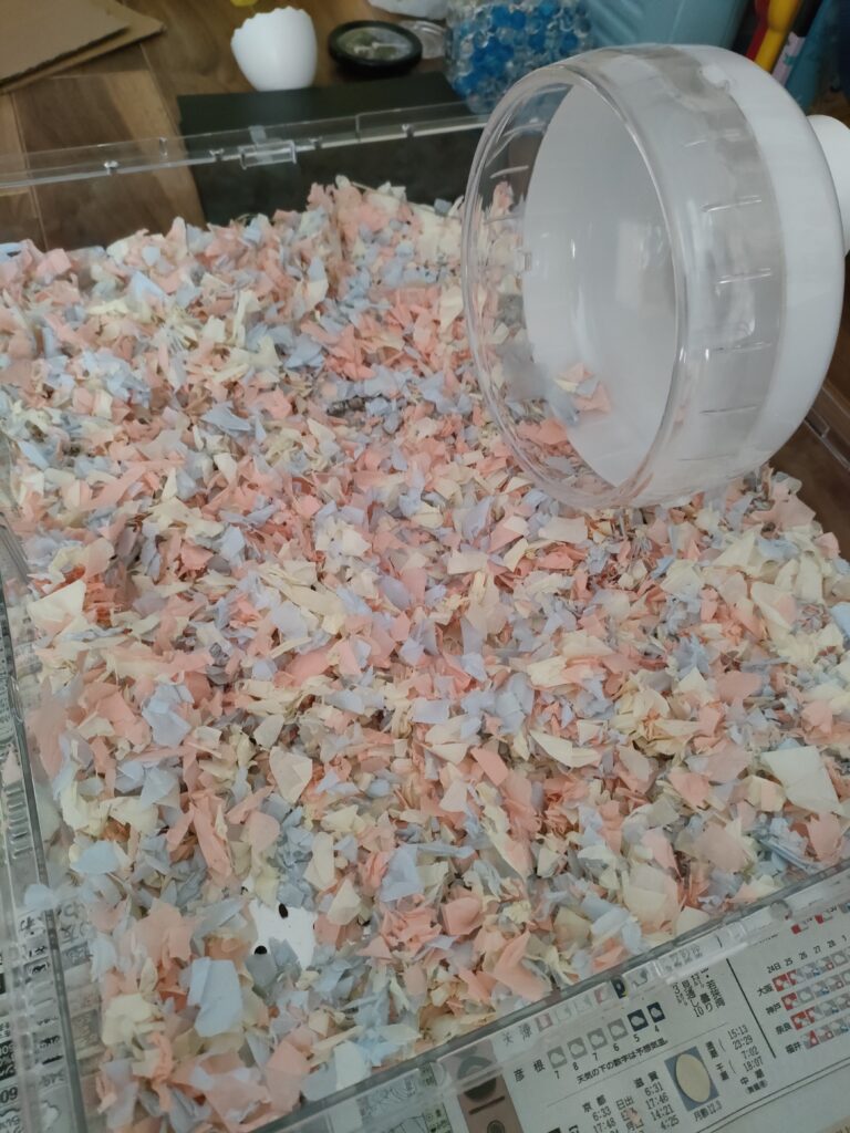 ケージの中