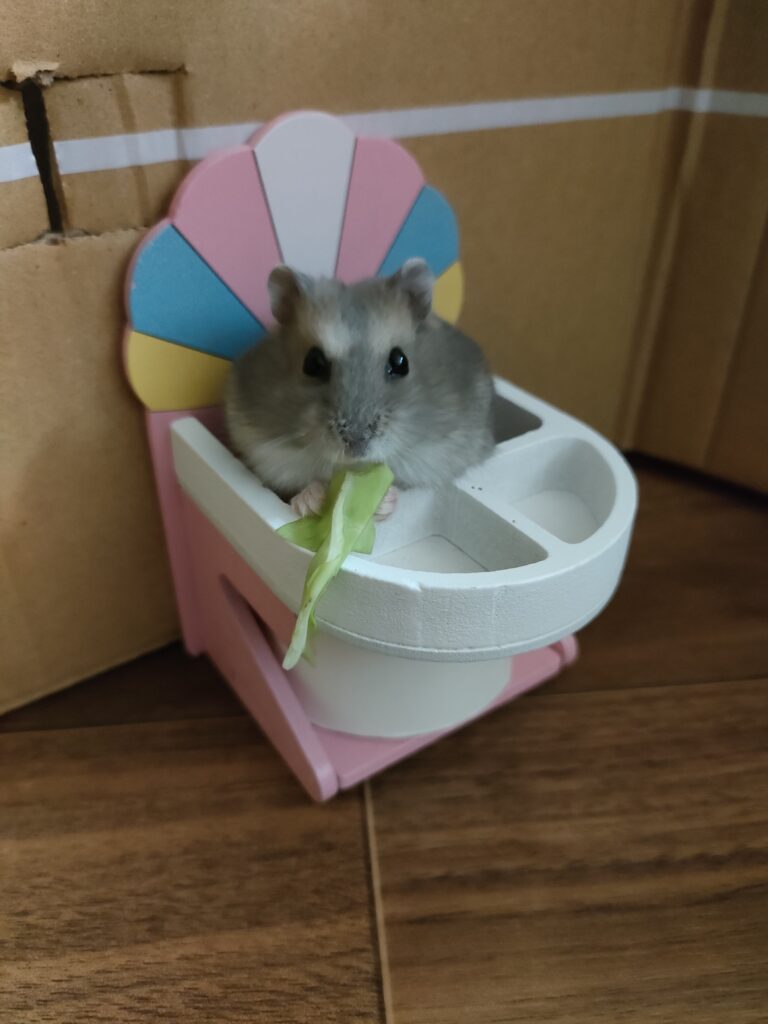 食事中のハムスター