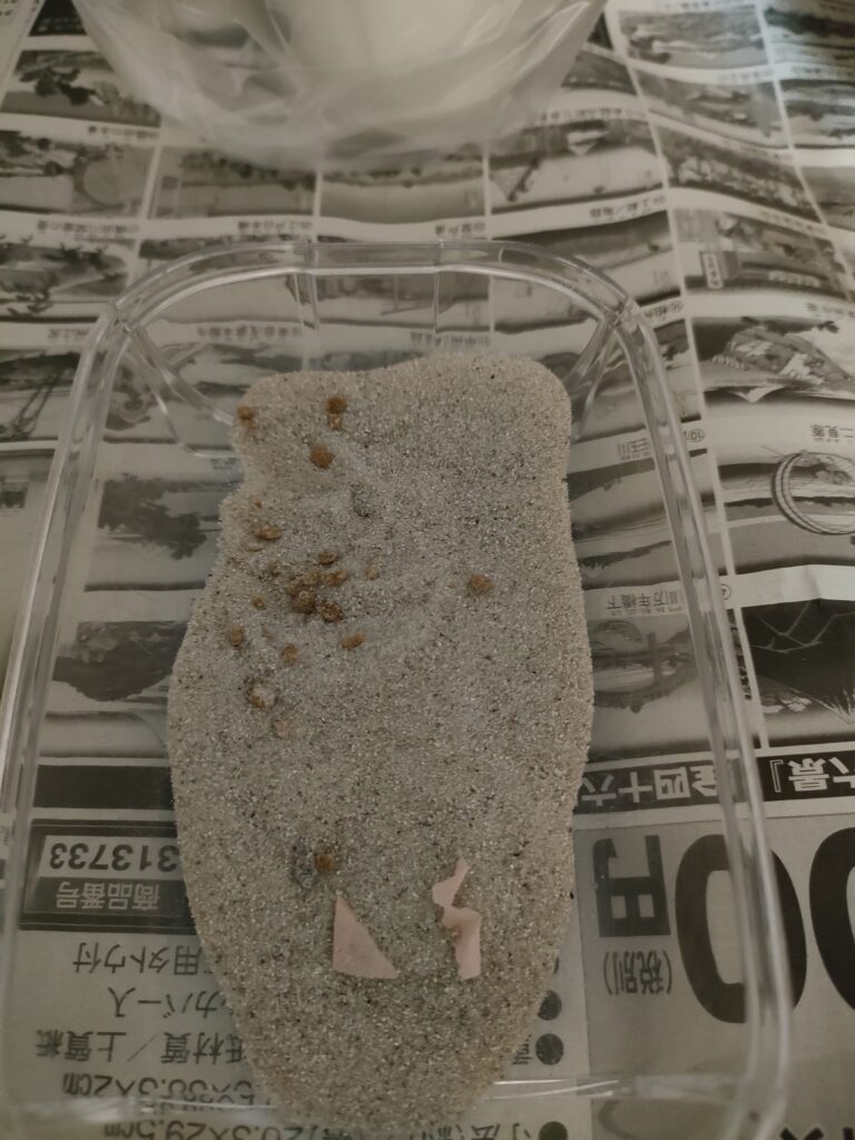 お風呂場に食べ残しのエサが散乱